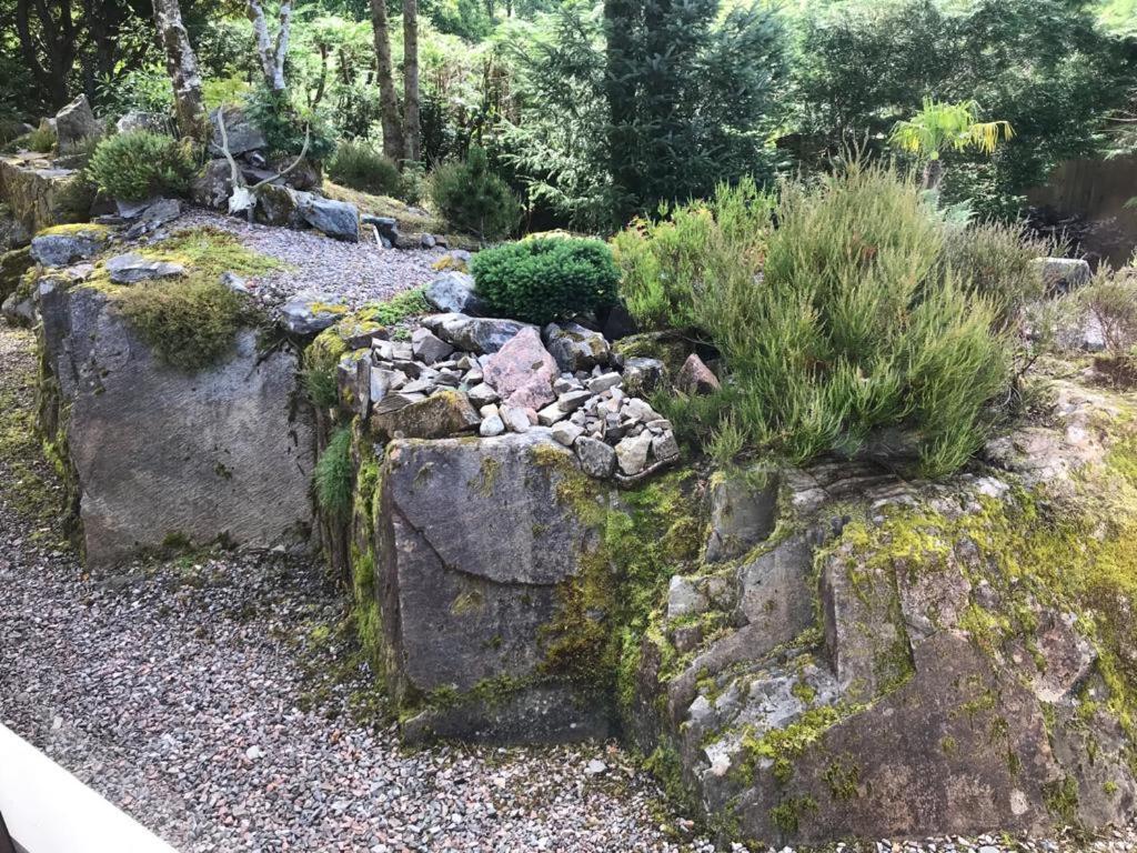 Tom Beag - Ben Nevis View Rooms Fort William Zewnętrze zdjęcie
