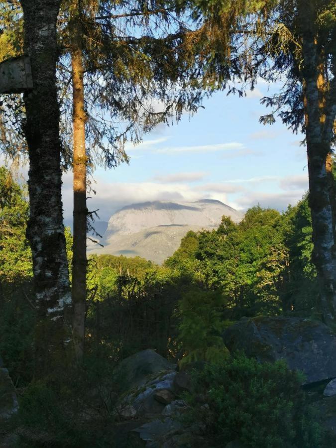 Tom Beag - Ben Nevis View Rooms Fort William Zewnętrze zdjęcie