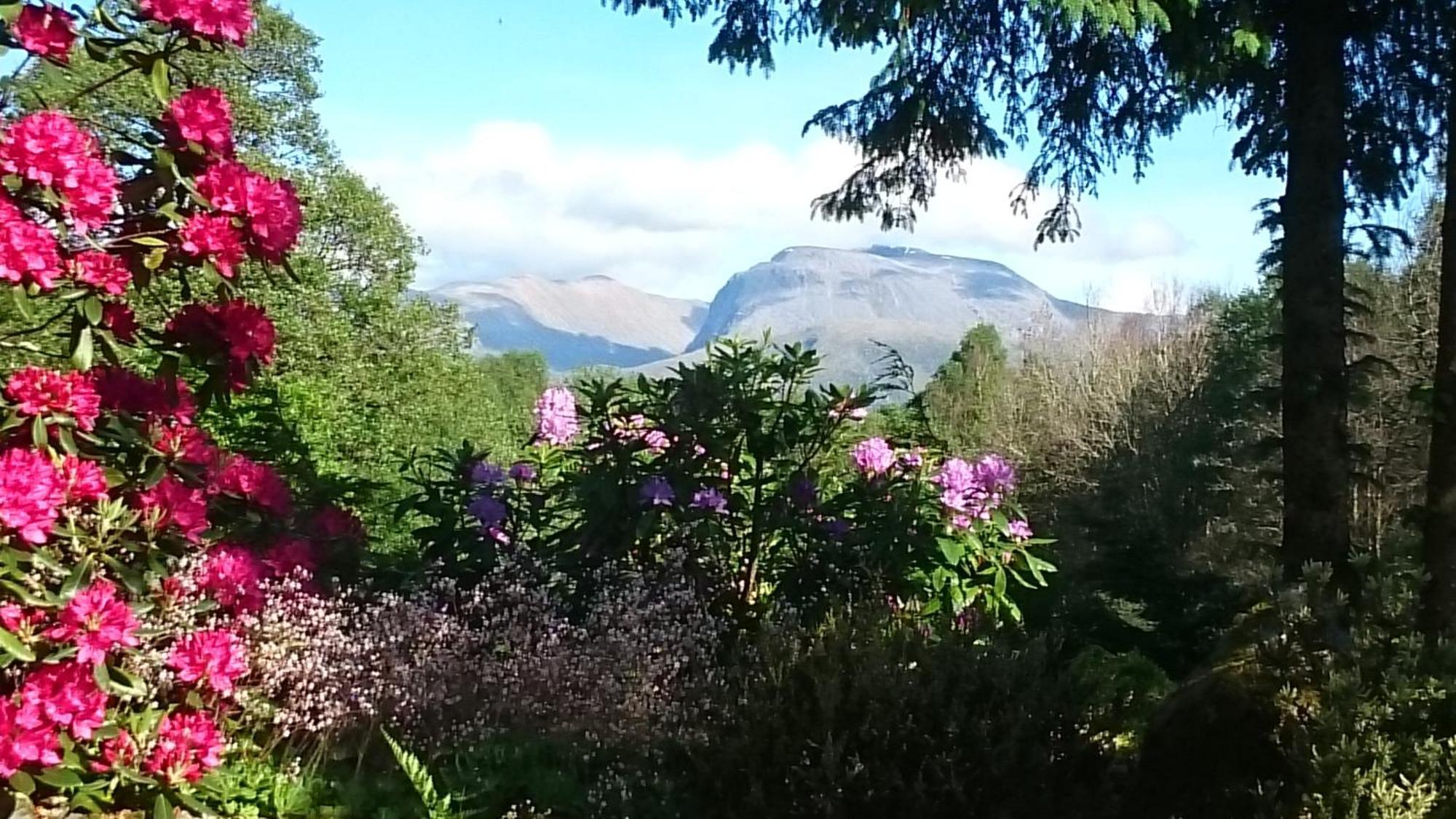 Tom Beag - Ben Nevis View Rooms Fort William Zewnętrze zdjęcie